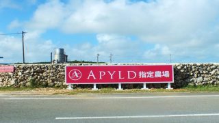 KakaoTalk_20200303_181319343